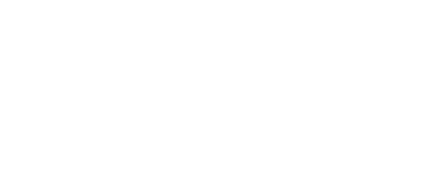 Brasão da cidade